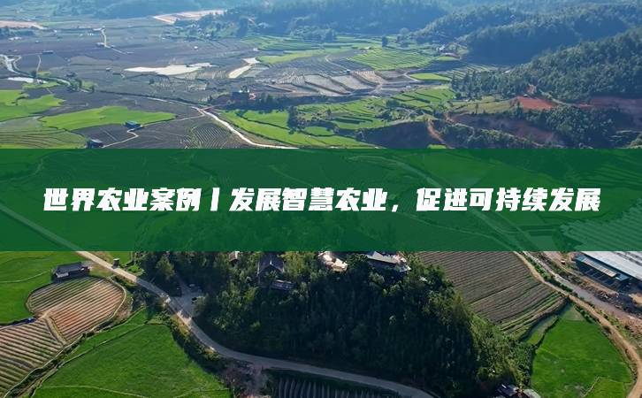 为赢得未来产业竞争储备核心能力