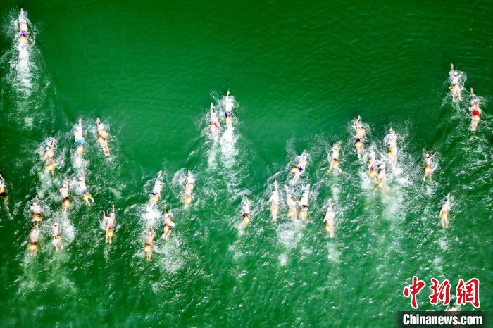 秦岭传奇2024丹江公开水域游泳挑战赛千人竞逐
